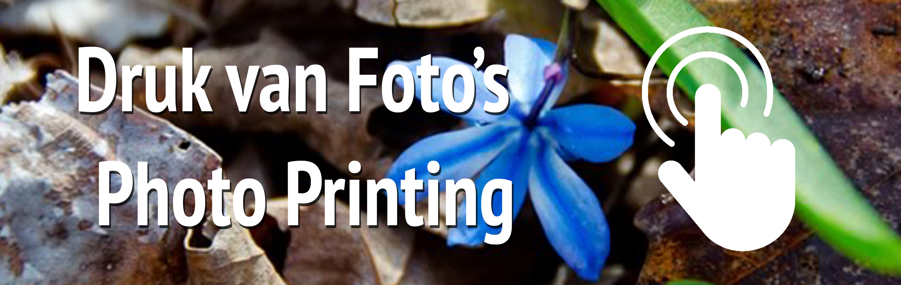 fotoprint